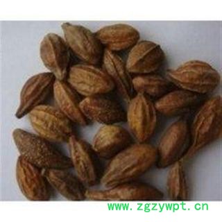 正品 诃子 柯子 德誉堂药业批发各种中药材 花果茶 矿石图2