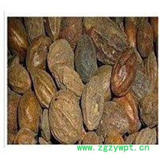 正品 诃子 柯子 德誉堂药业批发各种中药材 花果茶 矿石图4