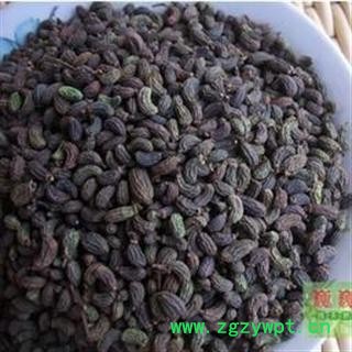 女贞子 选 女贞子 批发零售各种规格中药材 籽粒药 产地 四川省图2