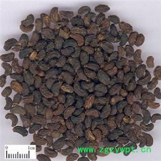 女贞子 选 女贞子 批发零售各种规格中药材 籽粒药 产地 四川省图3