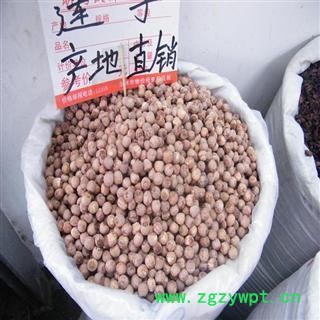 莲子 红圆莲 产地 湖南省 德誉堂药业批发零售各种中药材图2