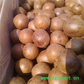 罗汉果 统 罗汉果 产地 广西 批发各种中药材图2