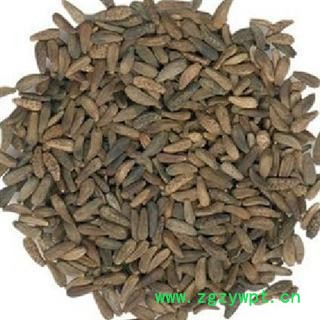 大力子 牛子 选 牛蒡子  产地  甘肃 德誉堂药业批发各种中药材图3