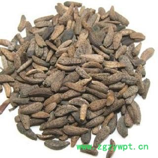 大力子 牛子 选 牛蒡子  产地  甘肃 德誉堂药业批发各种中药材图4