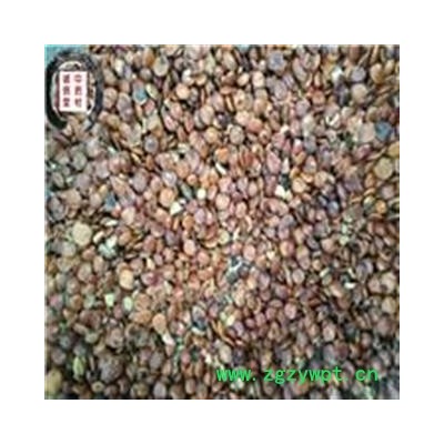 酸枣仁 选 枣仁 云南酸枣仁 批发各种中药材