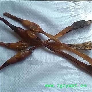 狗鞭 精品狗鞭选支 产地 山东省图2