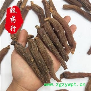红参 无糖红参去须无须35到40支选货 一手货源批发 产地吉林 甄选药材行 为你真选好药材图3
