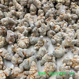 三七60头 三七田七促销 本色水洗不打蜡 一手货源产地直销1公斤起 产地云南文山 甄选药材行 为你真选好药材图2