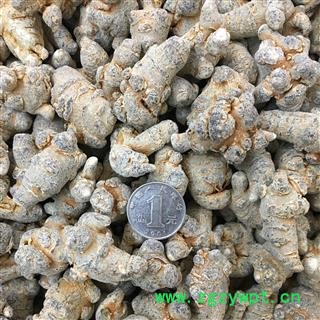 三七60头 三七田七促销 本色水洗不打蜡 一手货源产地直销1公斤起 产地云南文山 甄选药材行 为你真选好药材图4