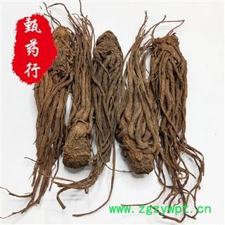 当归 水洗大条12支 一手货源批发 产地甘肃 甄选药材行 为你真选好药材图2
