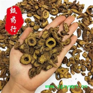 黄芩 枯芩中选片 一手货源批发 产地甘肃 甄选药材行图3