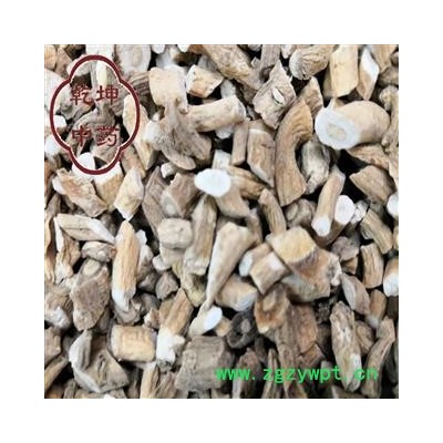 板蓝根 甘肃板蓝根  选货 包药检 产地 甘肃省【品种齐全 诚信经营】