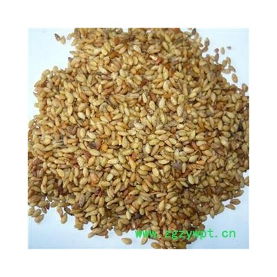 德誉堂药业柏子仁  柏子仁 产地 山东省 本店批发各种中药材