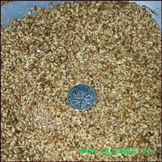 德誉堂药业柏子仁  柏子仁 产地 山东省 本店批发各种中药材图3