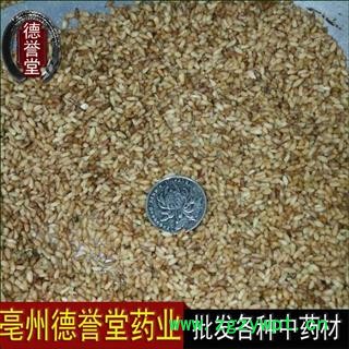 德誉堂药业柏子仁  柏子仁 产地 山东省 本店批发各种中药材图2