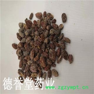 德誉堂药业 砂仁米 大统 砂仁米 批发各种中药材图2