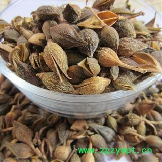 青翘 统货 青翘 产地 山西省 本店批发各种中药材图2