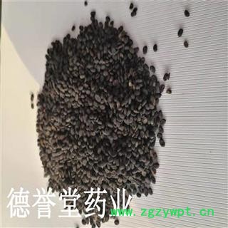 补骨脂 选 补骨脂  产地 云南省 批发各种中药材图3