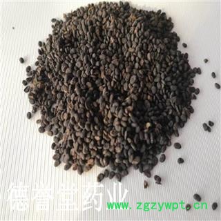 补骨脂 选 补骨脂  产地 云南省 批发各种中药材图2