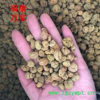 延胡索 元胡 统货 产地 浙江省图2