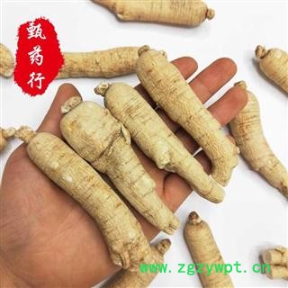 西洋参 20克条 一手货源批发1公斤装 甄选药材行 为你真选好药材图4