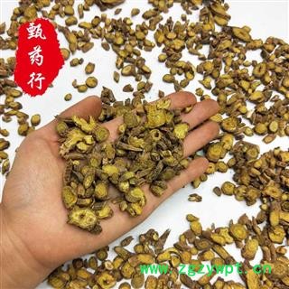 黄芩 无硫中片过0.4筛 一手货源批发 产地甘肃 甄选药材行 为你真选好药材图3