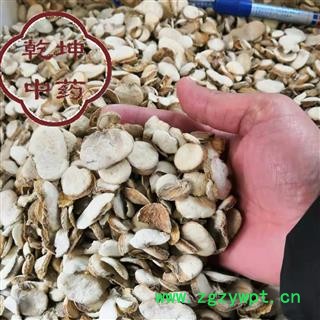 浙贝母 浙贝母   选片 高含量 产地 浙江省【品种齐全 诚信经营】图2