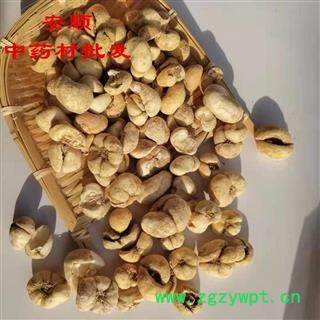 浙贝母 道地药材 选货 大个 贝母 大贝母 产地 浙江省图3