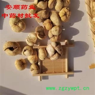 浙贝母  道地药材 选货 大个 贝母 大贝母 产地 浙江省图4