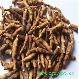 九节菖蒲 好统货  产地 陕西省图2