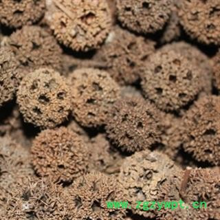 安祁名药路路通 狼目 野生无硫可打粉图2