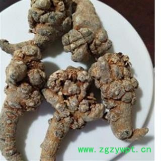 三七 三七20头直销水洗20头三七，标准20田七纯干无农药残留 产地 云南省图3