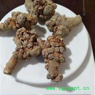 三七 三七20头直销水洗20头三七，标准20田七纯干无农药残留 产地 云南省图2