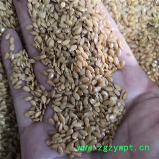 安祁名药优质亚麻籽 黄金亚麻籽  另有熟亚麻籽图2