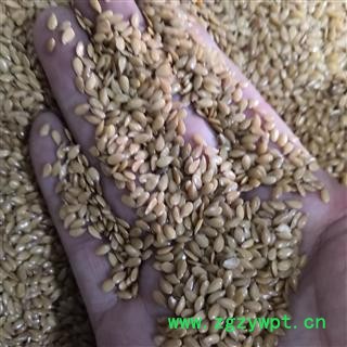 安祁名药优质亚麻籽 黄金亚麻籽  另有熟亚麻籽图3