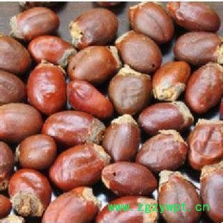 荔枝核 统货 荔枝核 德誉堂药业批发各种中药材图2