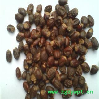 荔枝核 统货 荔枝核 德誉堂药业批发各种中药材图4