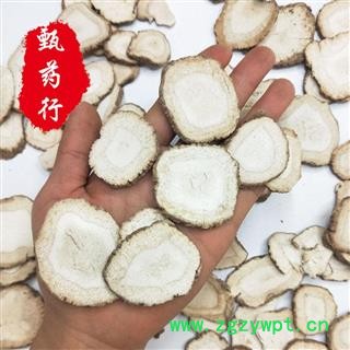 白芷 川白芷大选片 一手货源批发 产地四川 甄选药材行图3