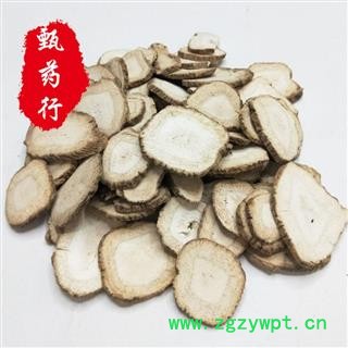 白芷 川白芷大选片 一手货源批发 产地四川 甄选药材行图2