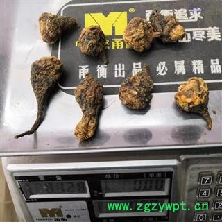 玛卡 云南黑玛咖  选个 高含量  产地 云南省【品种齐全 诚信经营】图2