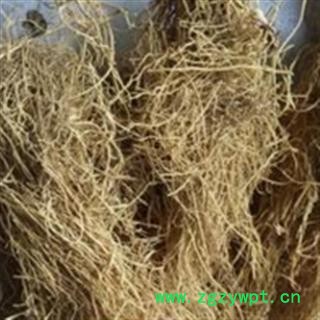 细辛 辽细辛水洗净根  干净 产地 辽宁省图2