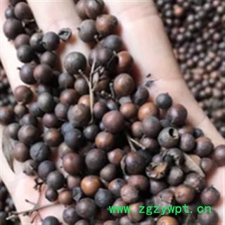 安祁名药正品天竺子 南天竹图2