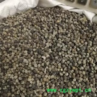 安祁名药蔓荆子 云南小粒蔓荆子图3