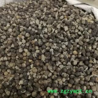 安祁名药蔓荆子 云南小粒蔓荆子图2