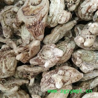 白芨 旱白芨 三叉白芨 白及选个 大个子, 正品白芨 产新大优惠 产地 云南省图2
