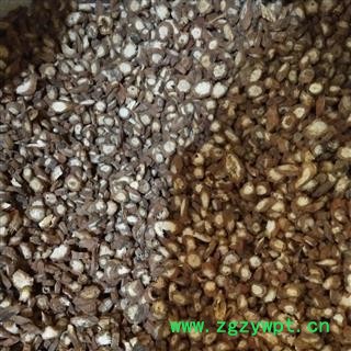 丹参 选片  道地良药 物美价廉 买货认准福康万家 产地 山东省图3