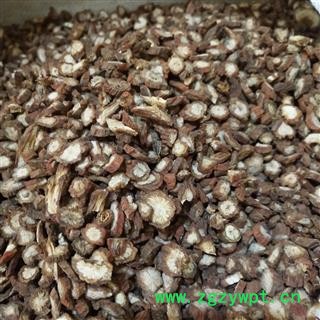 丹参 选片  道地良药 物美价廉 买货认准福康万家 产地 山东省图2