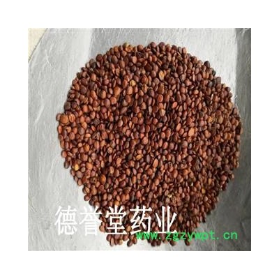 酸枣仁 选 国产98货  酸枣仁 产地 山东省 批发各种中药材