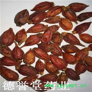 栀子 选 福建栀子 大栀子 德誉堂批发各种中药材图2