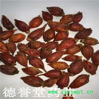 栀子 选 福建栀子 大栀子 德誉堂批发各种中药材图4